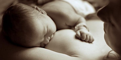 In Person Prenatal Individual Workshop: Breastfeeding with Christina primary image