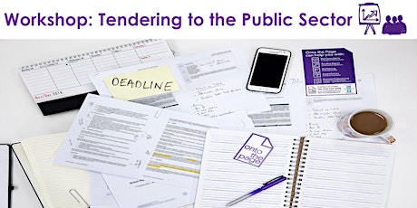 Workshop: Tendering to the Public Sector primary image
