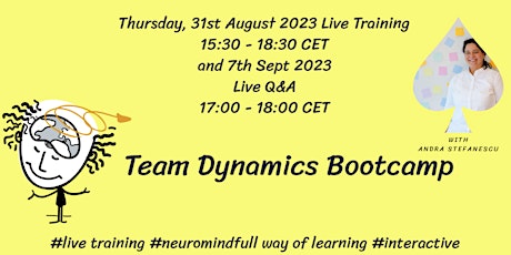 Team Dynamics Bootcamp primary image