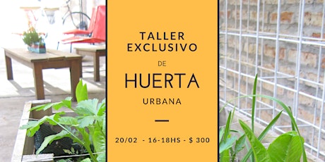 Imagen principal de Taller de Huerta Urbana