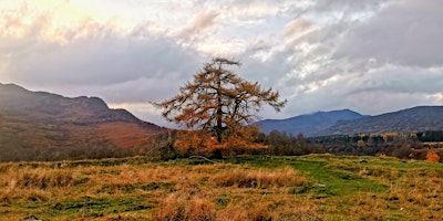 Image principale de Echoing Heath - Guided Walk Exploring Regional History and Folklore 1.5-2h