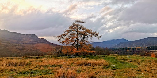 Echoing Heath - Guided Walk Exploring Regional History and Folklore 1.5-2h  primärbild