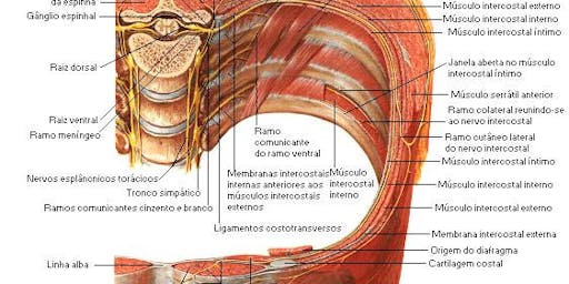 What Is Intra Oral Massage Lead