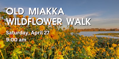 Old Miakka Wildflower Walk primary image