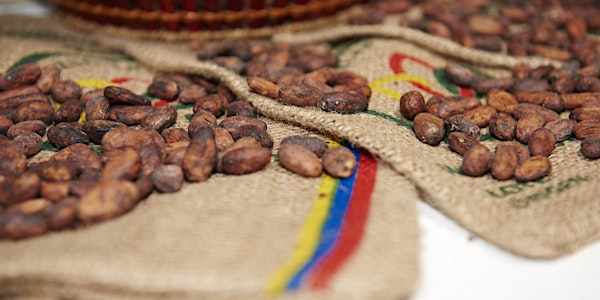 Chocoa Impact Investment: Accelerating sustainability in cocoa