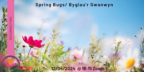 Spring Bugs/ Bygiau'r Gwanwyn