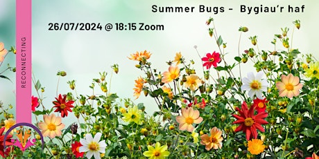 Summer Bugs -  Bygiau’r haf