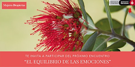 Imagen principal de El equilibrio de las emociones