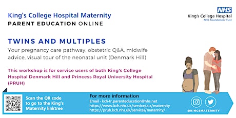 Twins and Multiples workshop