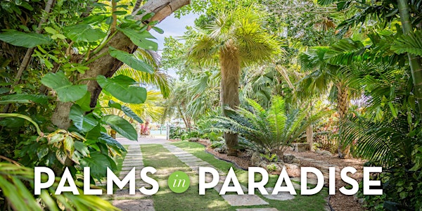 Palms in Paradise