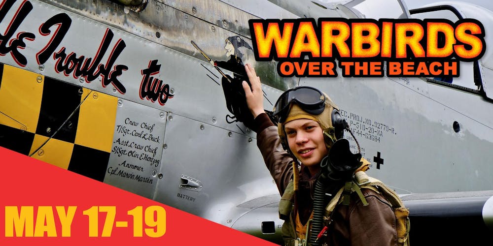 Image result for warbirds over the beach 2019