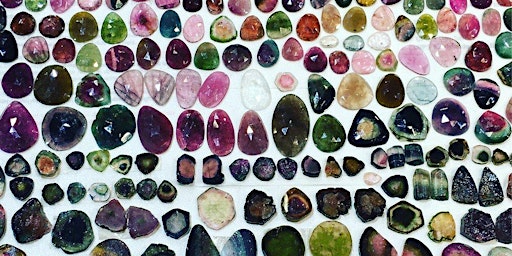 Image principale de Workshop - Identificação e observação de pedras de cor