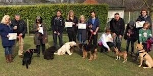Puppy Training Class for Beginners 13/04/2024 primary image