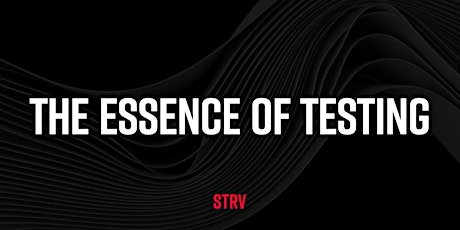 Hauptbild für The Essence of Testing