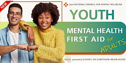Imagen principal de YOUTH (for Adults) Mental Health First Aid Certification- Virtual