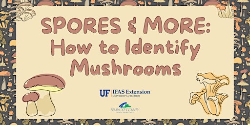 Spores and More: Mushroom ID Hike primary image