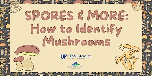 Spores and More: Mushroom ID Hike  primärbild