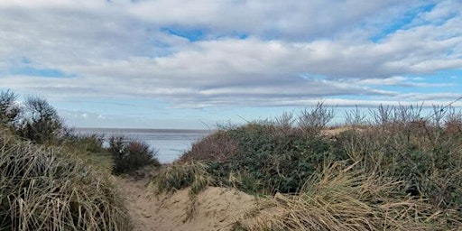 Berrow Dunes and the Wreck of the Nornen primary image