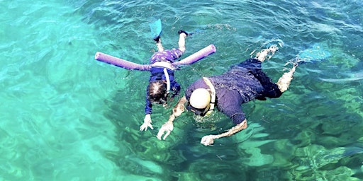 Imagem principal do evento Miami Snorkeling Adventure