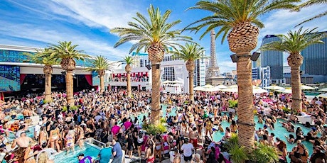 LAS VEGAS VIP DAYCLUB POOL CRAWL 50% DISCOUNTED