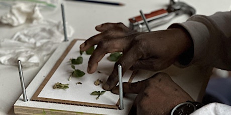 Hauptbild für Make an Herbarium: Plants Can Live Forever