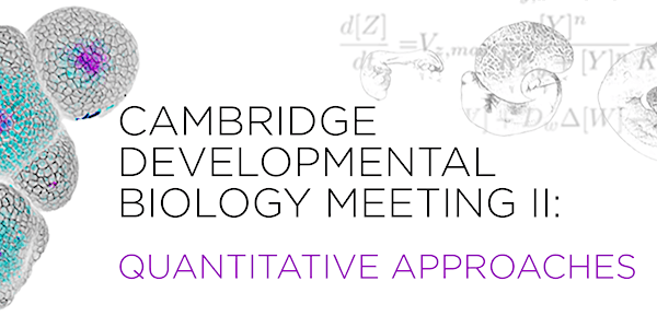 Cambridge Developmental Biology Meeting II: quantitative approaches