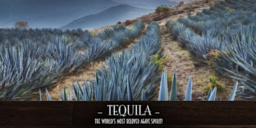 Imagem principal do evento The Roosevelt Room's Master Class Series - Tequila!