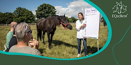 Kostenfreie Info zur Ausbildung im pferdegestützten Coaching by EQzellent primary image
