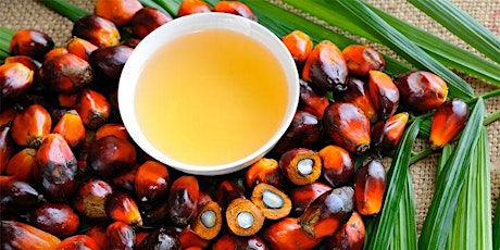 Image principale de Enjeux pour une production d’huile de palme durable en Côte d’Ivoire 