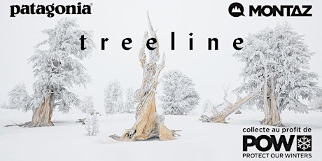 Imagen principal de Projection Treeline