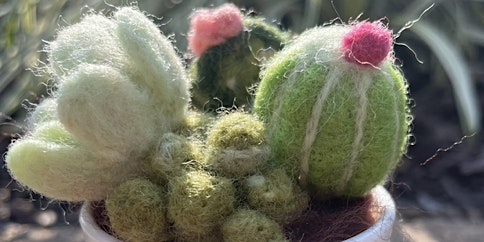 Imagen principal de Needle Felted Succulent with Amanda Stumpf