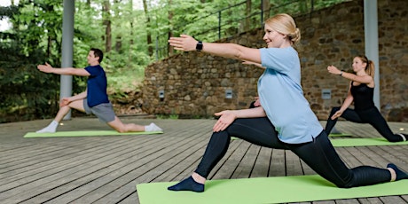 Qigong bei Tinnitus und Stress - Vertiefung für Fortgeschrittene