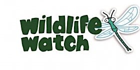 Wildlife Watch at The Wolseley Centre