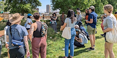 Primaire afbeelding van Mushrooms, Plants, and Meditation- Connect with Nature & the Outdoors