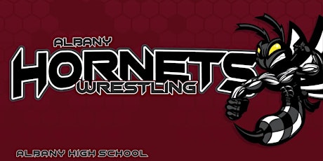 Into The Hornets' Nest primary image