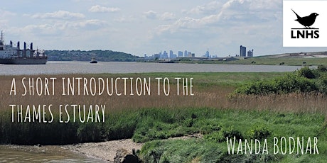 A Short Introduction to the Thames Estuary by Wanda Bodnar primary image