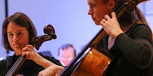 Imagem principal de Concerto Concert