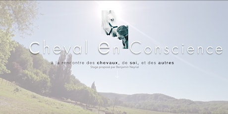 Cheval et Liberté Emotionnelle