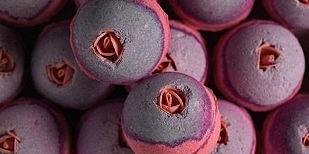 Planes y eventos en Lush Bilbao: Crea tu propia bomba de baño con flor  primärbild