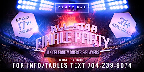 THE  ALL-STAR FINALE PARTY primary image