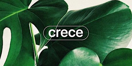 CRECE - Morelia primary image