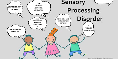 Understanding Sensory Processing