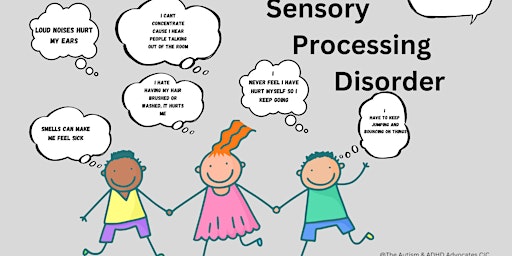 Understanding Sensory Processing  primärbild