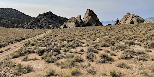 Immagine principale di Eastern Sierra Experience 