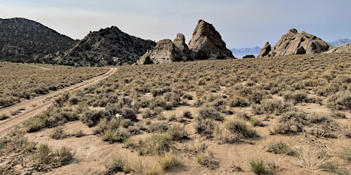 Eastern Sierra Experience primary image