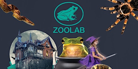 Image principale de Zoolab- Creepy Critters