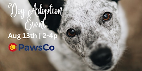 Dog Adoption Event & Fundraiser for PawsCo primary image