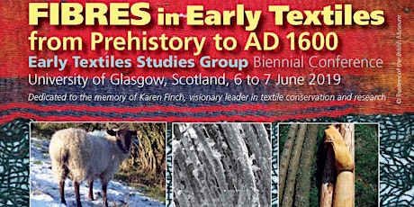 FIBRES in Early Textiles from Prehistory to AD 1600 primary image