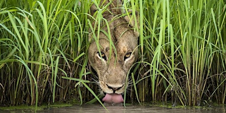 Early Morning View of Wildlife Photographer of the Year primary image