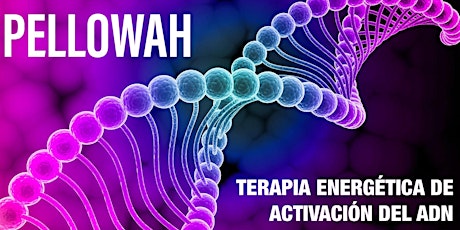 Imagen principal de TERAPIA ENERGETICA PELLOWAH: ACTIVACION DEL ADN Y MERKABAH 